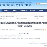 廣西:“十四五”期間基本形成科學 有序 綠色 高效的礦產(chǎn)資源開發(fā)新格局